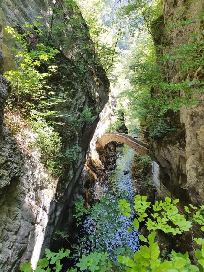 Chambre Aux Bord De L'Areuse Kültér fotó